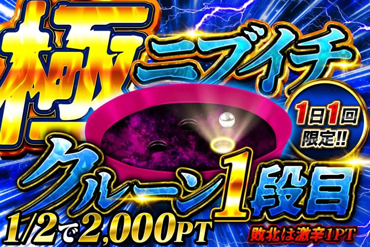 極ニブイチでポイントを増やせる